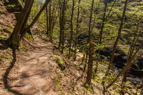 Trail in Jizera river valley near Semily, part of Riegrova stezka path, Czech Stock Photos