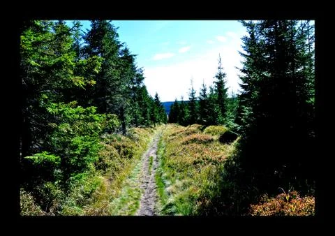 Trail in Jizerske mountain Stock Photos