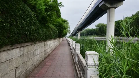 Trail by the Kunyu River on a Cloudy Evening Stock Footage 316517488