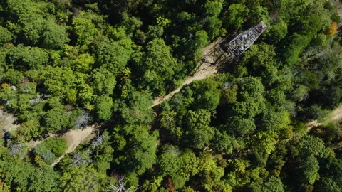 Trail Leading to Devils Knob Lookout Tower Stock Footage 324947384
