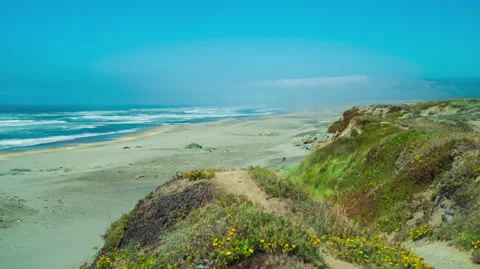 Trail leading down to an ocean beach on a bright blue day - timelapse Stock Footage 220739882
