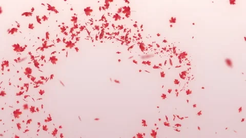 Trail Maple Red on Pastel Stock Footage 280177556