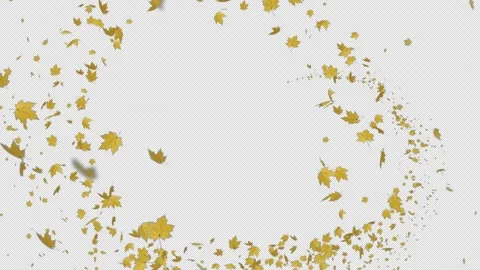 Trail Maple Yellow on Alpha Stock Footage 278566478