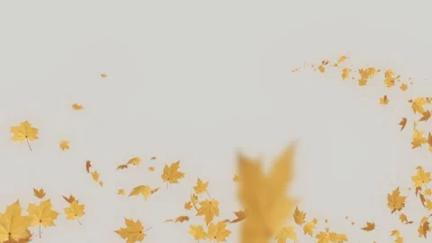 Trail Maple Yellow on Pastel Stock Footage 277861908