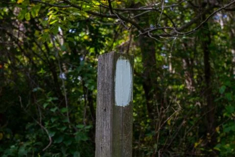 Trail Marker in The Forest Stock Photos