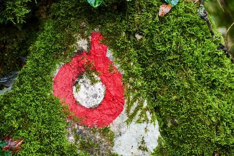 Trail marker for hacking painted on a moss-covered stone Stock Photos
