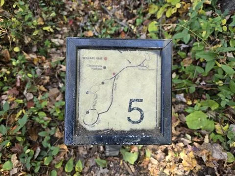 Trail Marker Sign in Forest Setting with the Number 5 Stock Photos