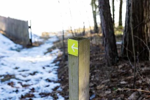 Trail marker in snowy forest path, green arrow on weathered wooden post point Stock Photos