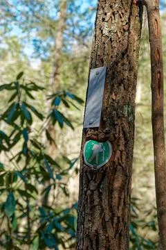 Trail markers in the forest Stock Photos