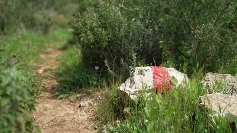 Trail marking on a rock or stone used for indication of a hiking trail or road Stock Footage 154205898