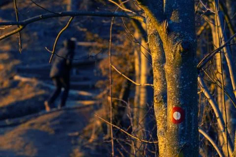 Trail marking on tree trunk with hiker visible in background Stock Photos