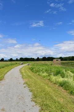 A trail in Marsh Park Stock Photos