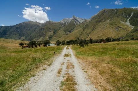A trail in a meadow Foto stock