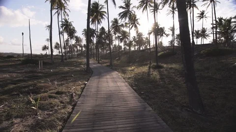 Trail in the middle of a tropical beach Stock Footage 128094715