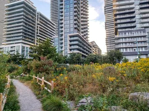 Trail by Modern Towers Stock Photos