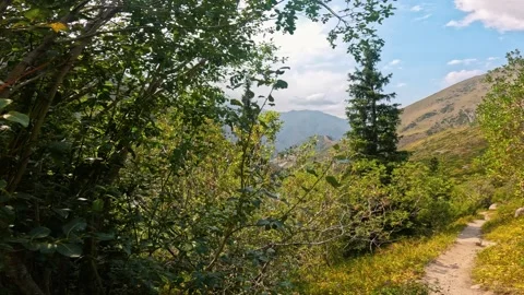 Trail in a mountain forest Stock-Footage 317688999