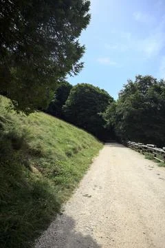Trail on a mountain 写真素材