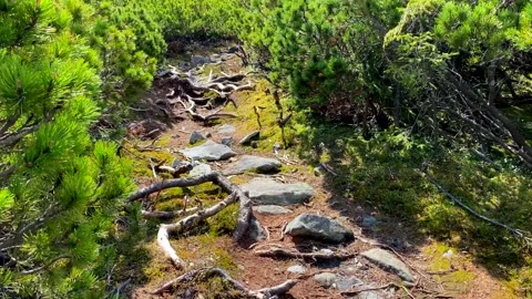 Trail in mountains Stock Footage 147872685