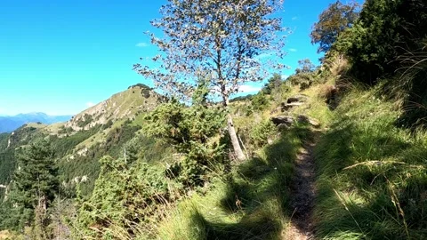 Trail in the mountains Stock Footage 153521591