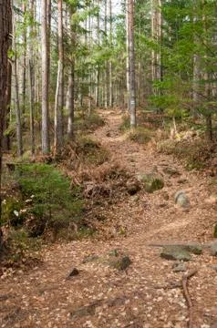 The trail in the mountains Stock Photos