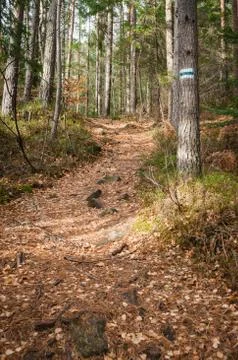 The trail in the mountains Stock Photos