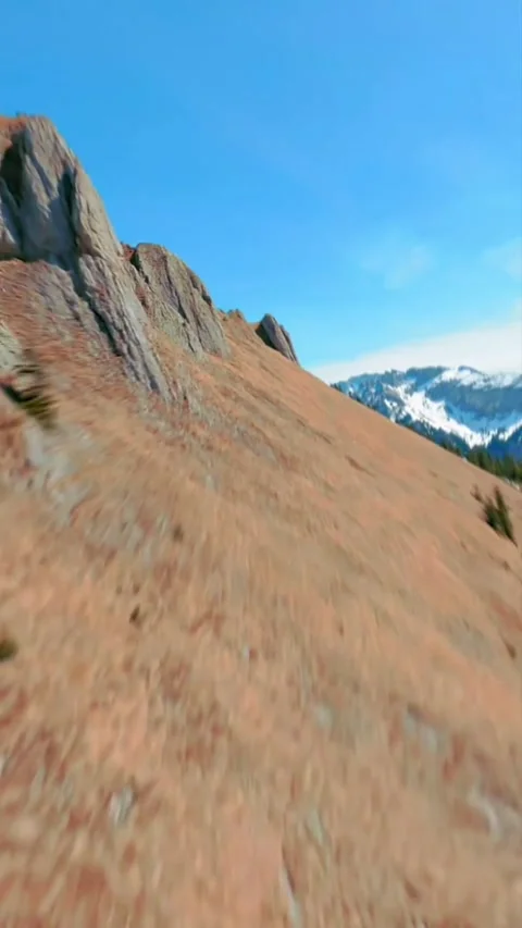 Trail in the mountains with trees Stock Footage 273140535