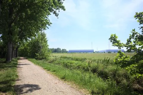 Trail next to a field Stock-Fotos