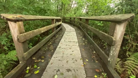 Trail in the Park Stock Footage 139897731