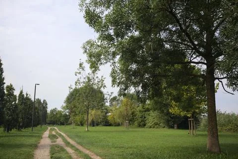 Trail in a park Stock Photos