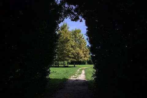 Trail in a park Stock Photos