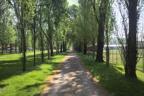 Trail in a park 스톡 사진