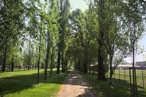 Trail in a park Foto stock