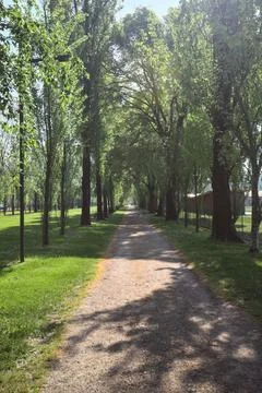 Trail in a park Foto stock