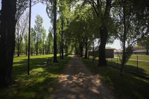 Trail in a park 스톡 사진