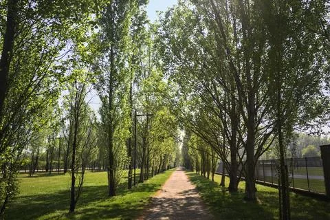 Trail in a park Foto stock