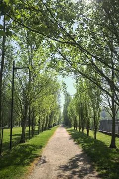 Trail in a park 스톡 사진