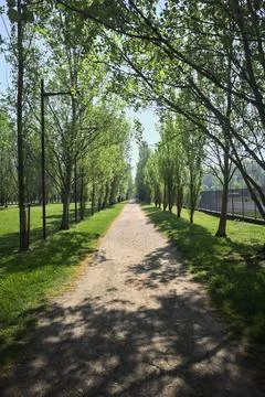 Trail in a park Foto stock