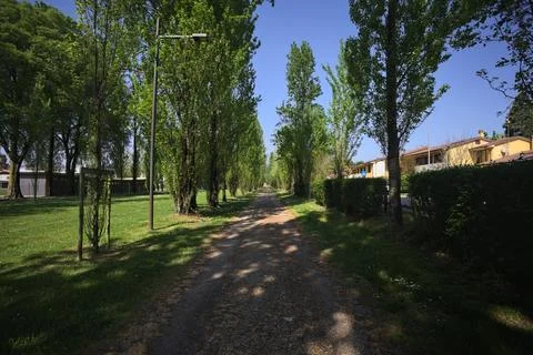 Trail in a park 스톡 사진