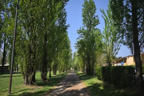 Trail in a park 스톡 사진