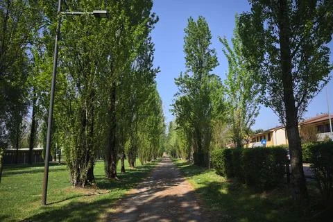 Trail in a park 스톡 사진