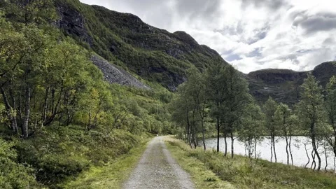 The trail passes through the forest, mountains Stock Footage 337364810