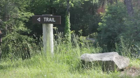 Trail path sign in the woods Stock Footage 11413541