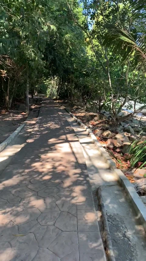Trail in Penang Island Vídeo Stock 343557682
