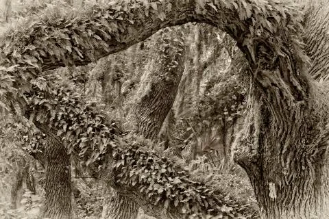 The trail Stock Photos