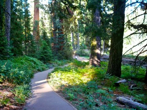 The Trail Stock Photos