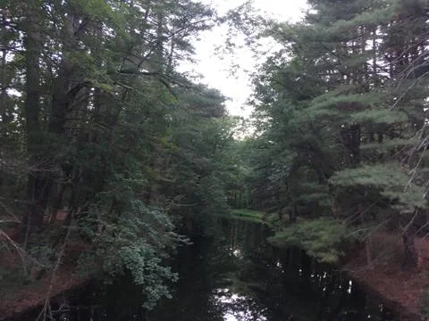 The Trail Stock Photos