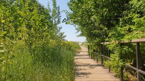 A trail of planks Stock Photos