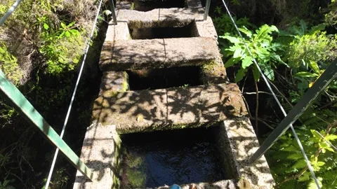 Trail PR6 Levada das 25 Fontes in Madeira during summer season. Portugal. 스톡 동영상 301394069