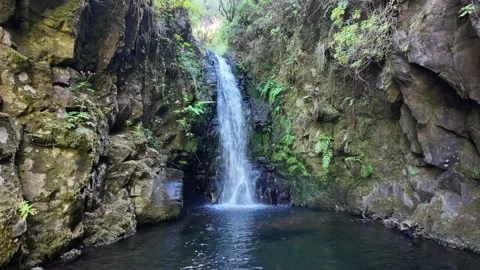 Trail PR6 Levada das 25 Fontes in Madeira during summer season. Portugal. 스톡 동영상 301394116