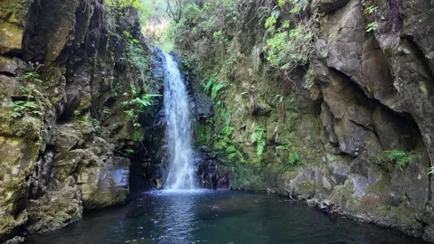 Trail PR6 Levada das 25 Fontes in Madeira during summer season. Portugal. 스톡 동영상 301394173